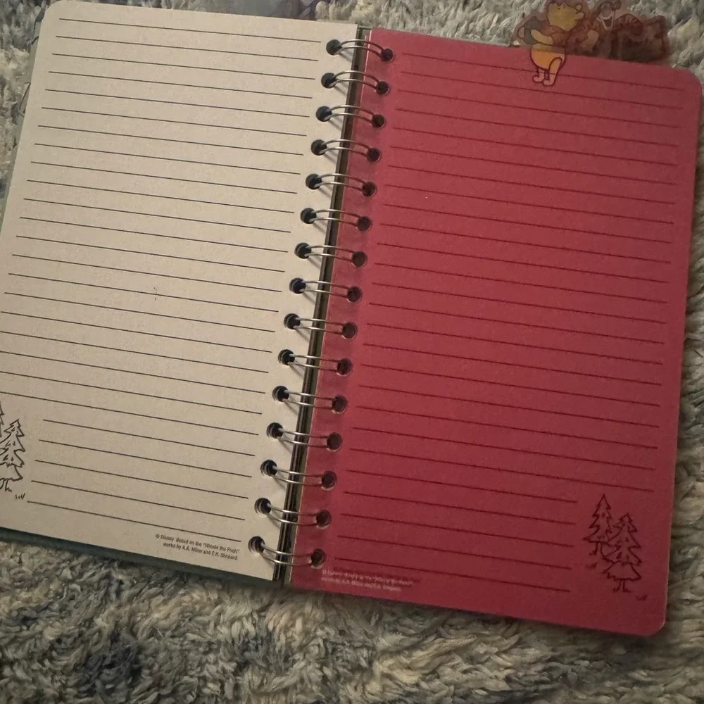Winnie the Pooh Green Spiral Notebook
